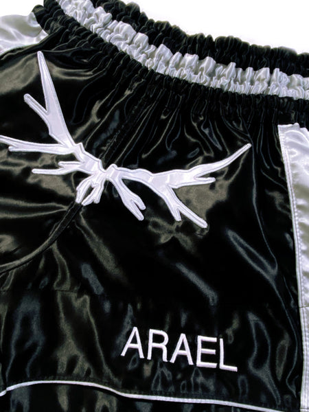 Arael Muay Thai shorts